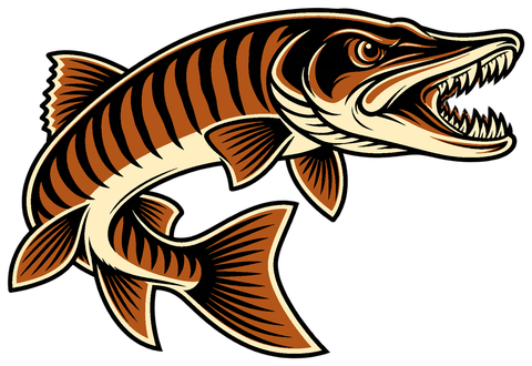 Musky illustration
